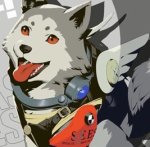 koromaru.jpg