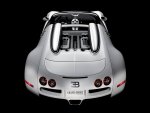 2009_bugatti_sport2.jpg
