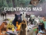 CUENTANOS MAS.jpg