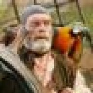 Loro del señor coton