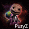 PusyZ