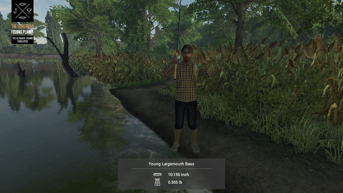 The Fisherman sonido