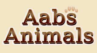 Portada de Aabs Animals