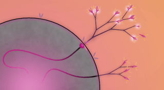 Portada de Eufloria