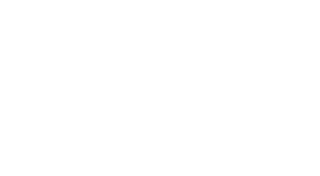 F1 2011™