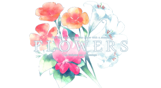 Portada de Flowers