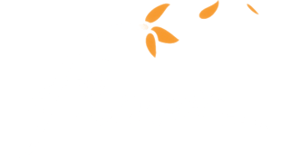 Portada de Flower