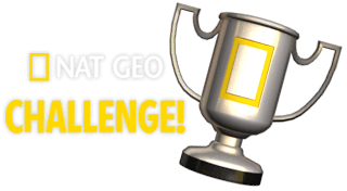 Portada de Nat Geo Challenge! Wild Life