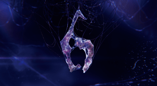 Portada de Resident Evil 6
