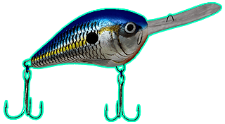 Portada de Rapala Pro Bass Fishing