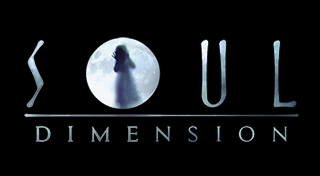 Portada de Soul Demension