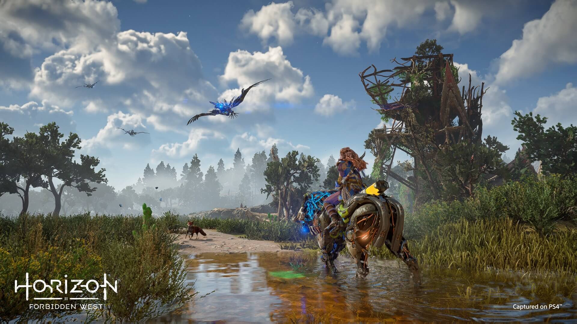 Horizon Forbidden West luce espectacular en gameplays de PS4 Pro