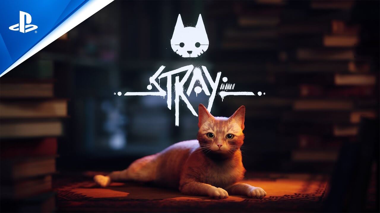 Stray llegará a PS5 y PS4 este 19 de julio; mira su nuevo tráiler